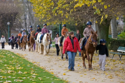 Cheval dans la ville, Parc de Choisy, Equitation, Sport, Paris