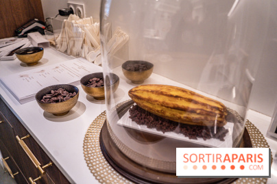 La Bûche Cabosse et les créations de Noël de CinqSens 2021