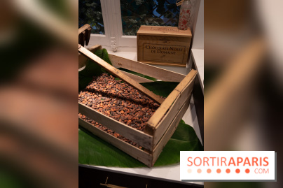 La Bûche Cabosse et les créations de Noël de CinqSens 2021