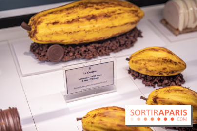 La Bûche Cabosse et les créations de Noël de CinqSens 2021