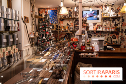 La Bûche de Noël de la Reine Astrid au mucilage 