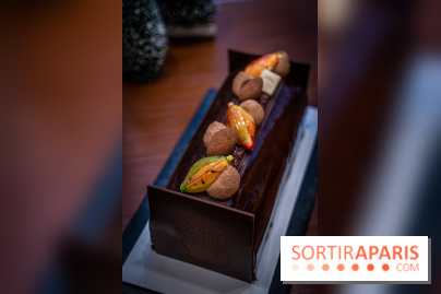 La Bûche de Noël de la Reine Astrid au mucilage 