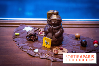 La Bûche de Noël de la Reine Astrid au mucilage 