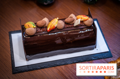 La Bûche de Noël de la Reine Astrid au mucilage 