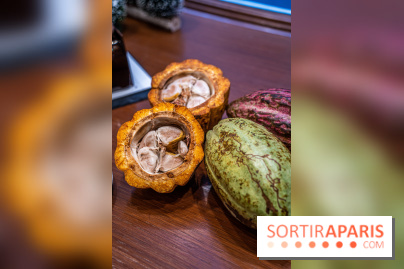 La Bûche de Noël de la Reine Astrid au mucilage 