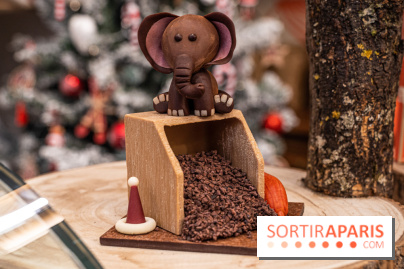 La Bûche de Noël de la Reine Astrid au mucilage 