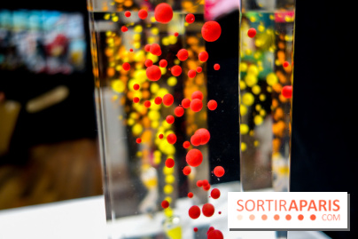 District 13 Art Fair 2022, nos photos