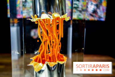 District 13 Art Fair 2022, nos photos