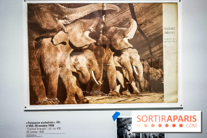 La photographie en spectacle, l'exposition gratuite de Gaston Paris au Centre Pompidou - nos photos