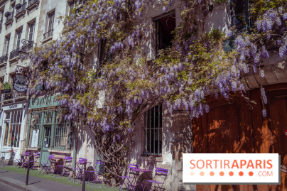 Les cafés fleuris de Paris