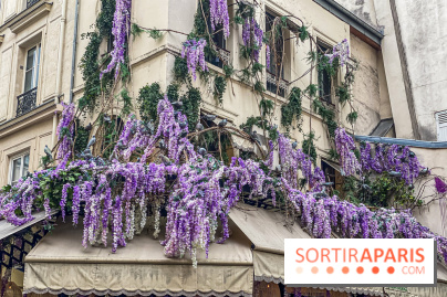 Les cafés fleuris de Paris