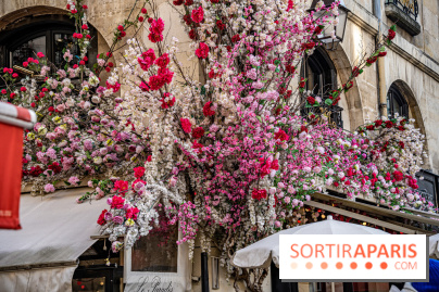 Les cafés fleuris de Paris