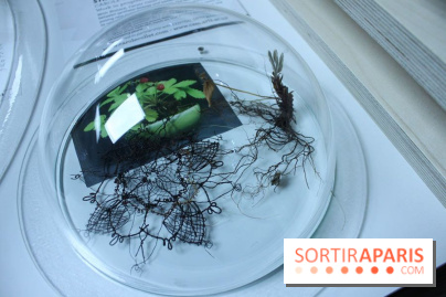 Futurotextiles 3 à la Cité des Sciences : fraisier