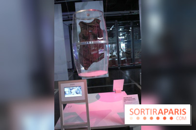 Futurotextiles 3 à la Cité des Sciences : marc de vin