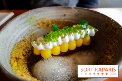 Les Petits Bateaux à Paris, nos photos 