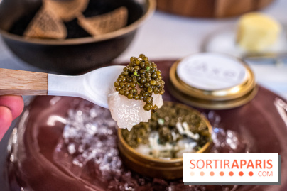 L'Axel, le restaurant étoilé de Fontainebleau, les photos