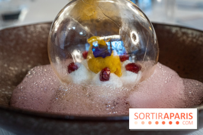 L'Axel, le restaurant étoilé de Fontainebleau, les photos