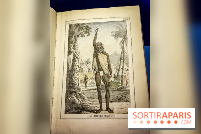 Yoga - Ascètes, yogis, soufis : l'exposition zen au Musée Guimet - nos photos