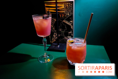 Zanzi : bar à cocktails à Paris, nos photos