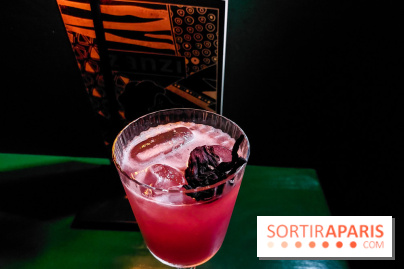 Zanzi : bar à cocktails à Paris, nos photos