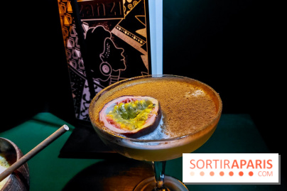 Zanzi : bar à cocktails à Paris, nos photos