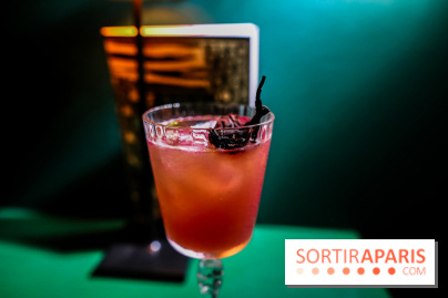Zanzi : bar à cocktails à Paris, nos photos