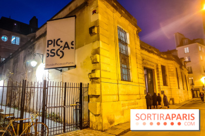 Visuels musée et monument - Musée Picasso nuit