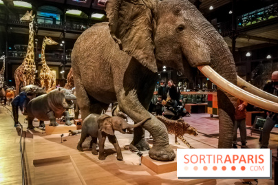Visuels musée et monument intérieur muséum histoire naturelle