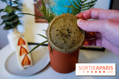 Benchy à Paris, nos photos