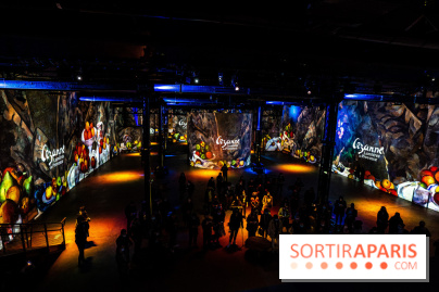 Exposition Cézanne à l’Atelier des Lumières 