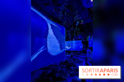 Ephemera, le premier restaurant immersif à Paris