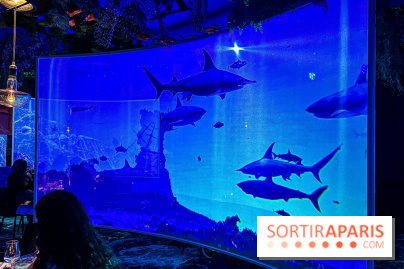 Ephemera, le premier restaurant immersif à Paris