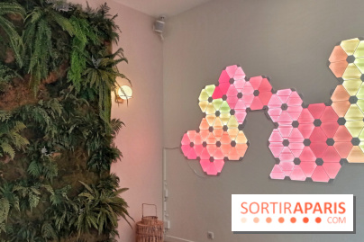 Bloom, le studio de méditation moderne pour se détendre au cœur de Paris