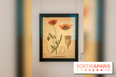 Delacroix et la nature, nos photos de l'exposition au musée Delacroix