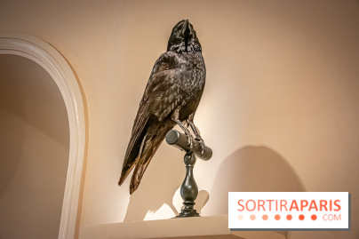 Delacroix et la nature, nos photos de l'exposition au musée Delacroix