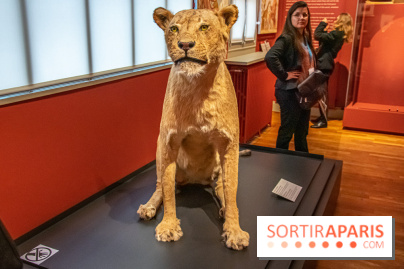 Delacroix et la nature, nos photos de l'exposition au musée Delacroix