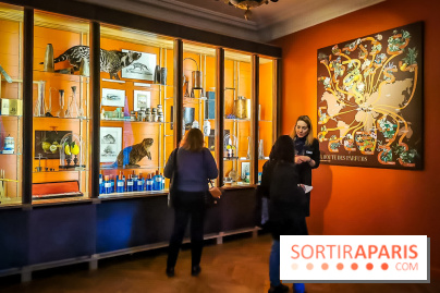 Le Musée du Parfum Fragonard : un trésor méconnu à deux pas du Palais Garnier