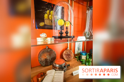 Le Musée du Parfum Fragonard : un trésor méconnu à deux pas du Palais Garnier