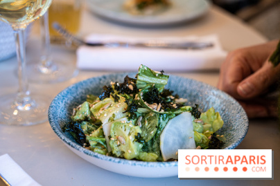 Bleu Coupole restaurant du Printemps 