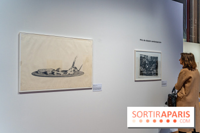 Le Partage d'une passion pour le dessin, l'exposition aux Beaux-Arts de Paris