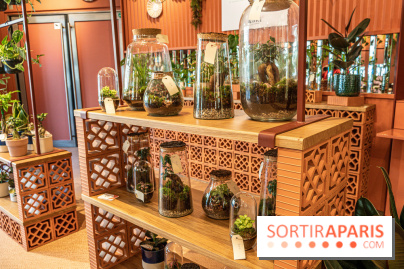 Le Café Vert du Printemps Haussmann 