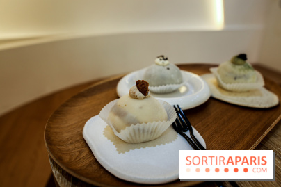 Tao zi, pâtsserie asiatique à Paris, nos photos