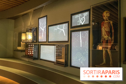 Le nouveau Musée Albert Kahn se dévoile 