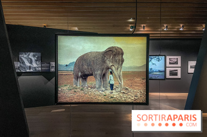 Le nouveau Musée Albert Kahn se dévoile 