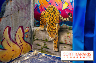 Le Colors Festival Paris 2022, les photos