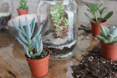 La nature s’invite à Bercy Village pour les vacances scolaires ! 202204