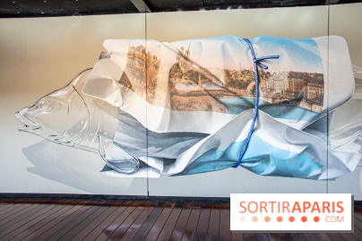 Exposition à Fluctuart, Plongée en eaux troubles - nos photos