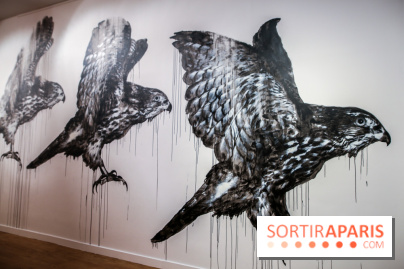 Incursions sauvages, nos photos