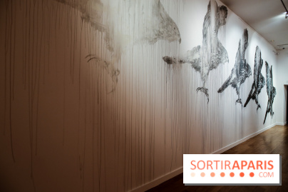 Incursions sauvages, nos photos