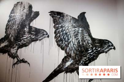 Incursions sauvages, nos photos